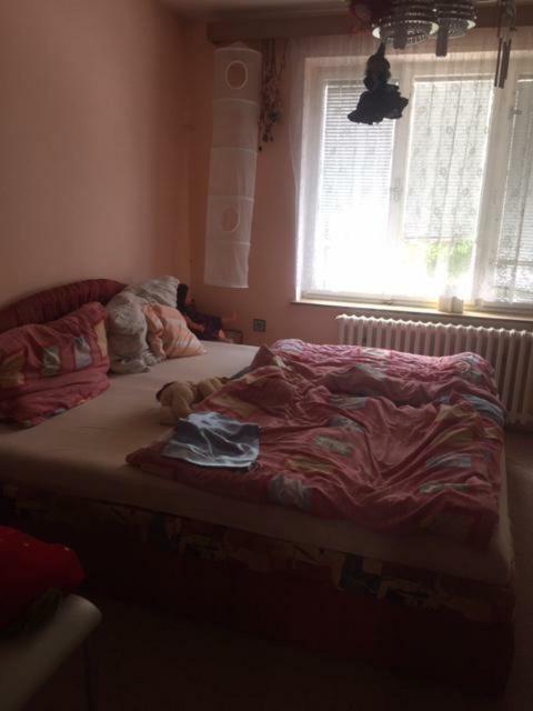 Apartament Dolni Bukovsko Bagian luar foto